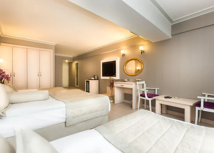 فندق عثمان بيك فاتح 3*