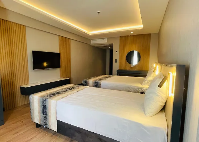 عثمان بيك فاتح اسطنبول