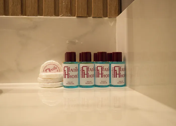 فندق عثمان بيك فاتح 3*